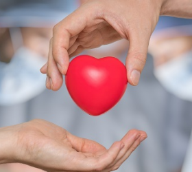 Transplante de coração: a quem é indicado e quais são os principais riscos?