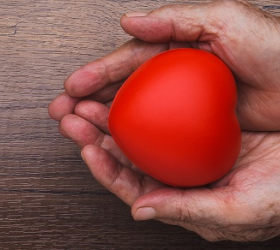 Os efeitos do envelhecimento sobre o coração e os vasos sanguíneos
