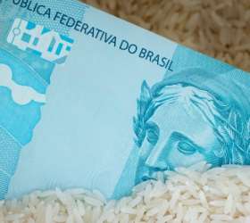 Cesta básica brasileira consome mais da metade do salário mínimo