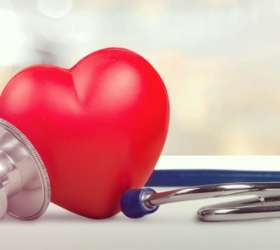 Mitos sobre o coração: 9 coisas que te contaram e você provavelmente acreditou